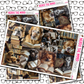 Dog Reading Planner Stickers Just Boxes