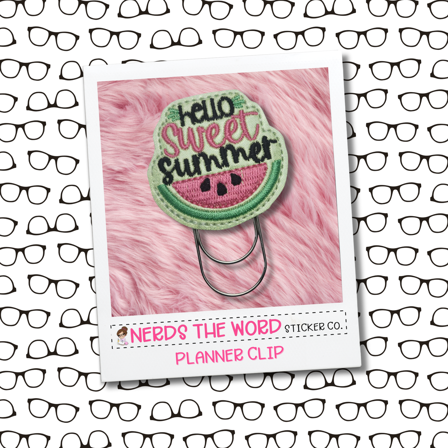 Hello Sweet Summer (Watermelon) Planner Clip