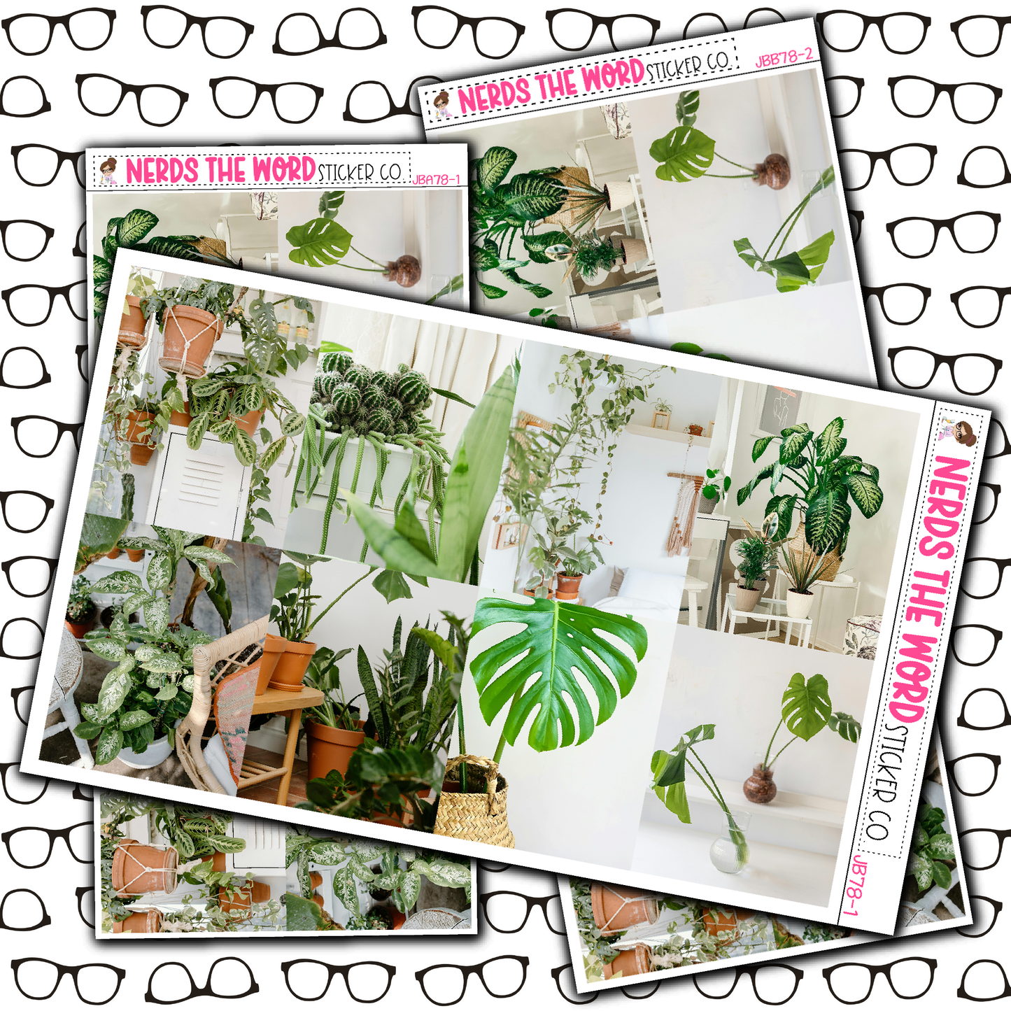 Plants Just Boxes with Kit Option