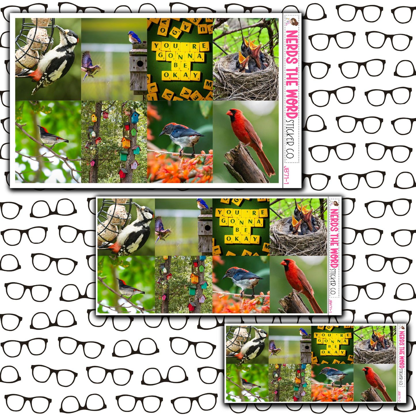 Bird Watching Just Boxes with Kit Option