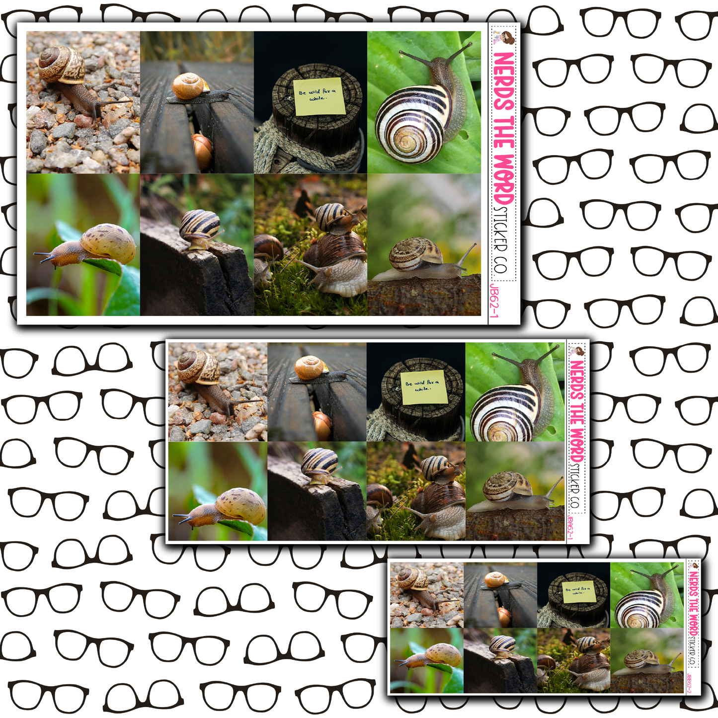 Snails Just Boxes with Kit Option