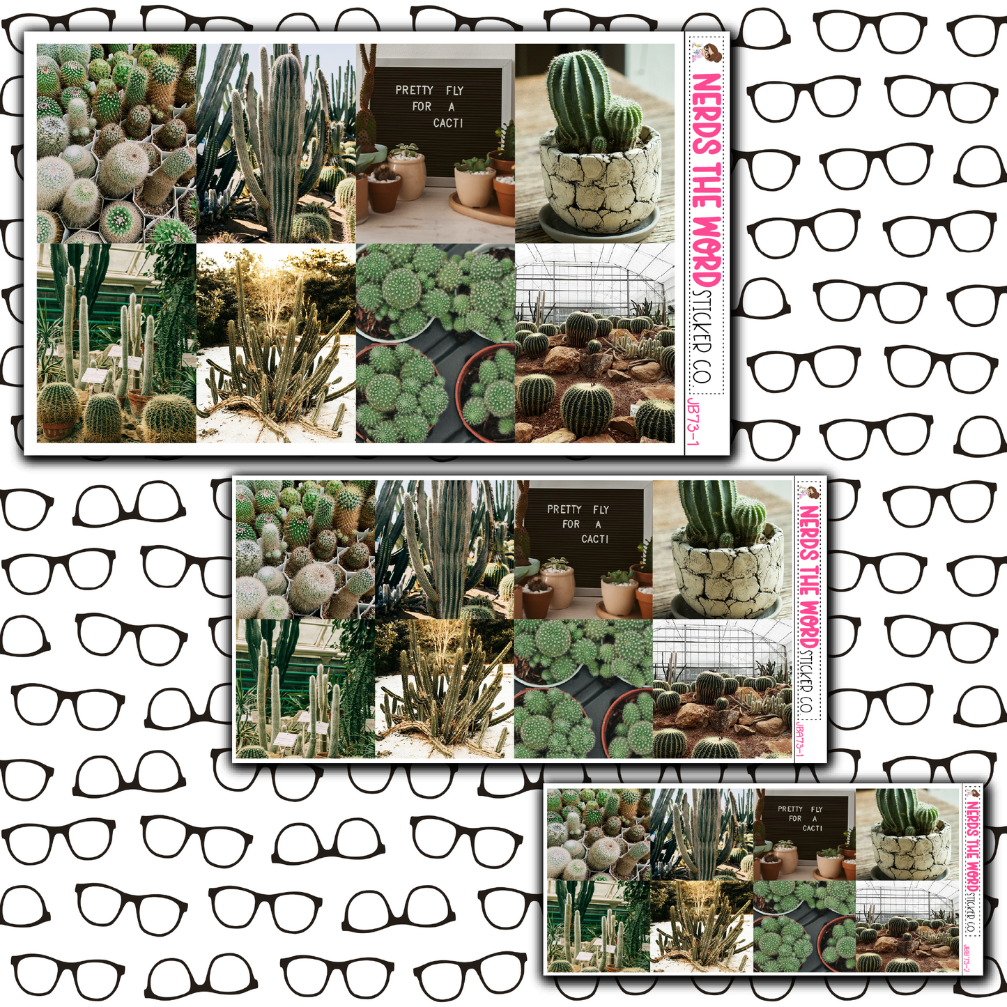 Cacti Just Boxes with Kit Option