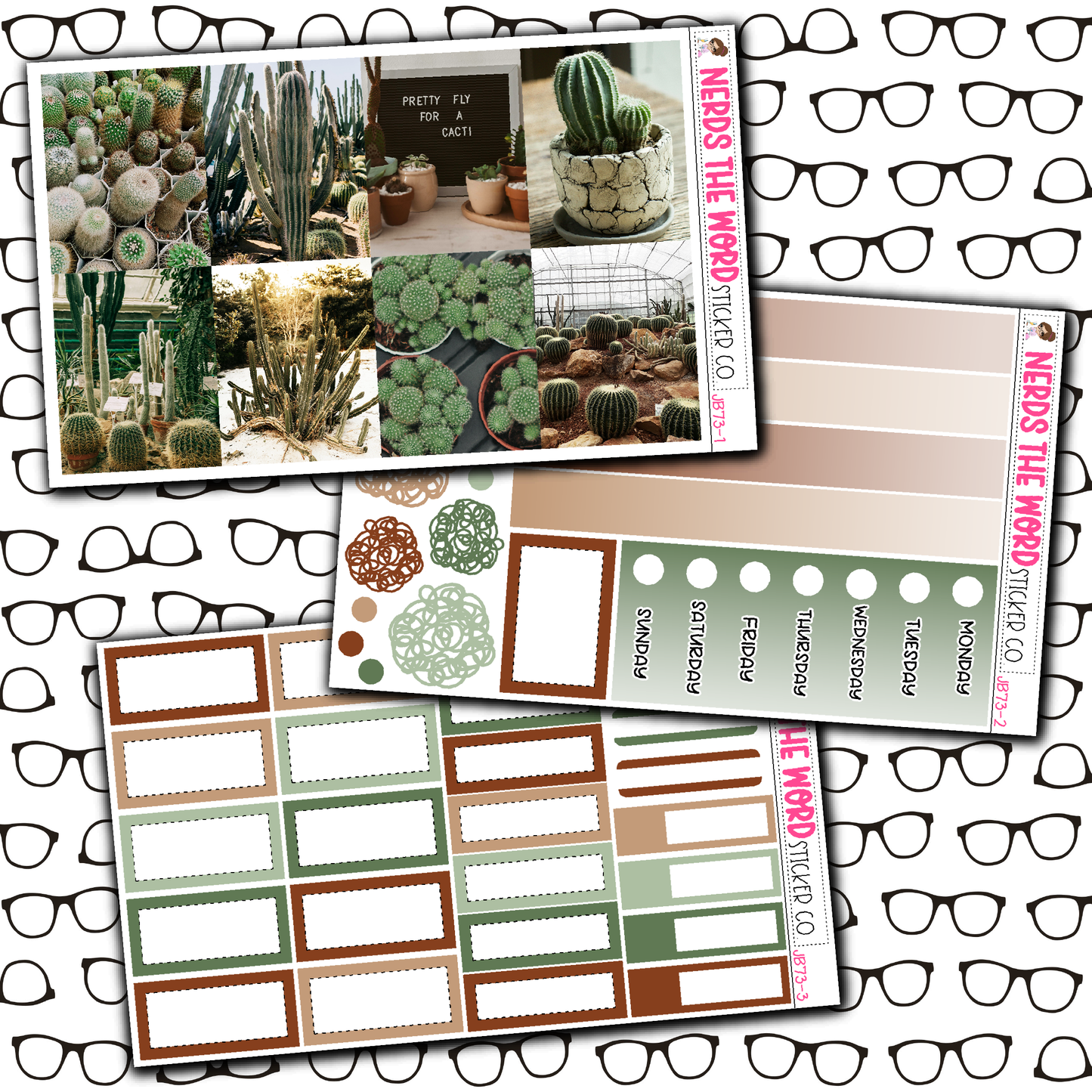 Cacti Just Boxes with Kit Option