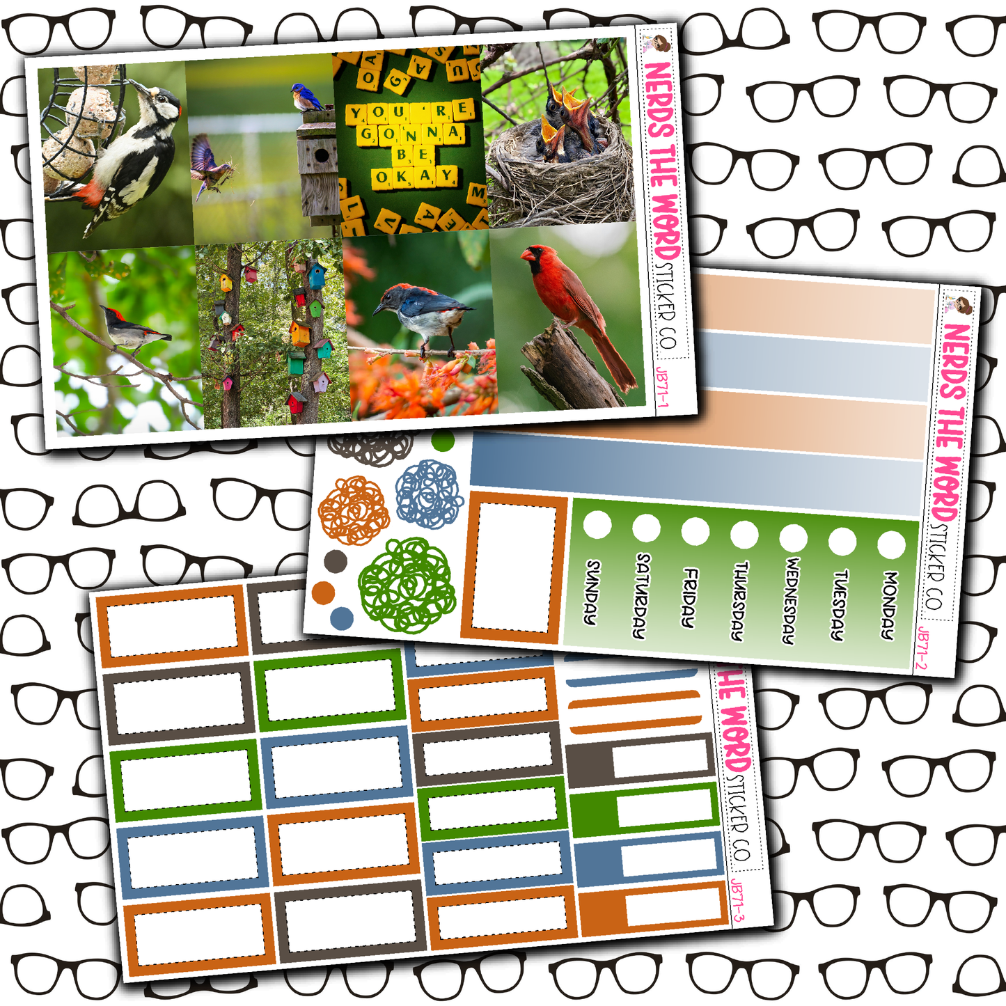 Bird Watching Just Boxes with Kit Option