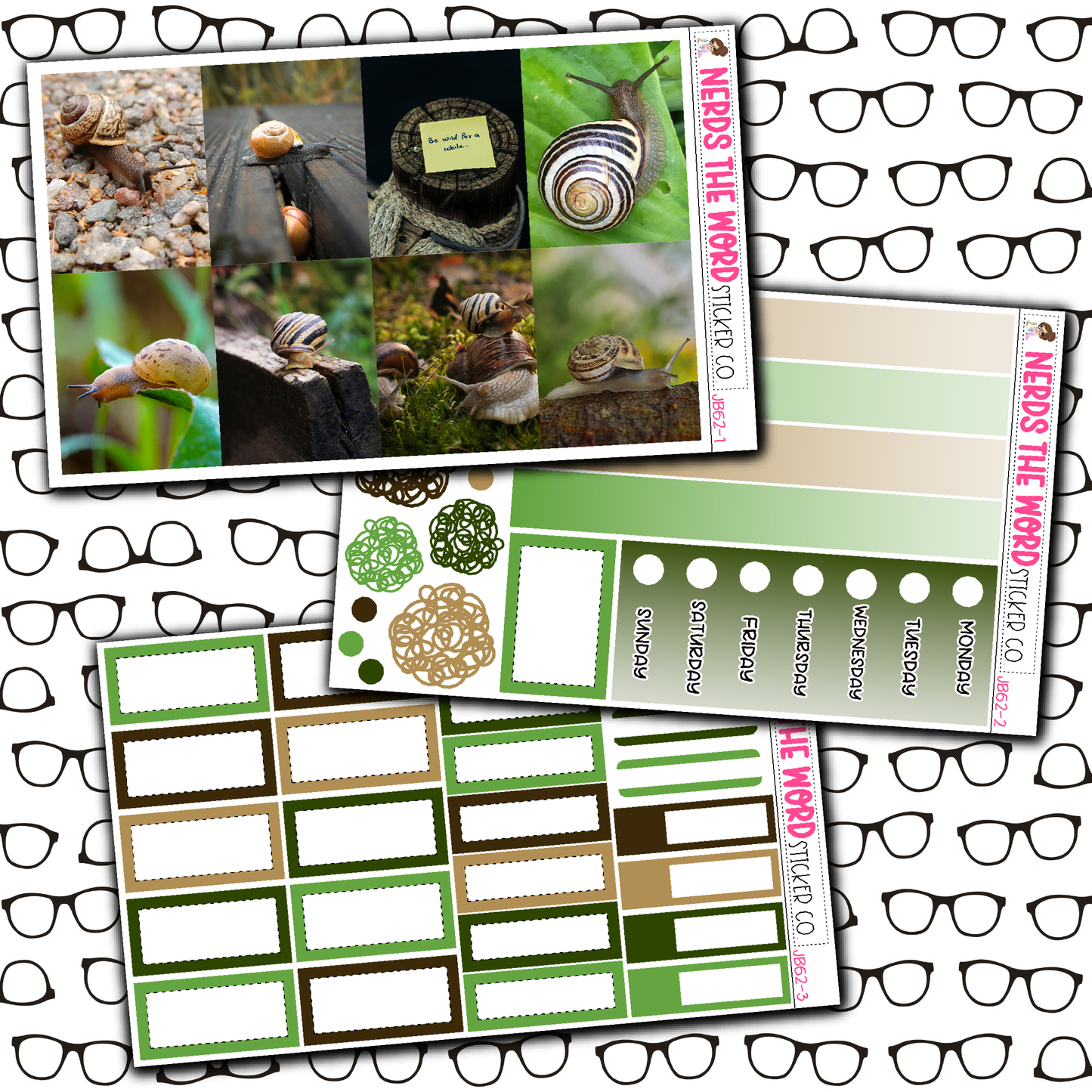 Snails Just Boxes with Kit Option