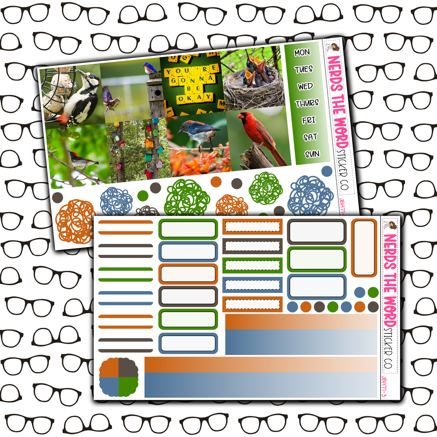 Bird Watching Just Boxes with Kit Option