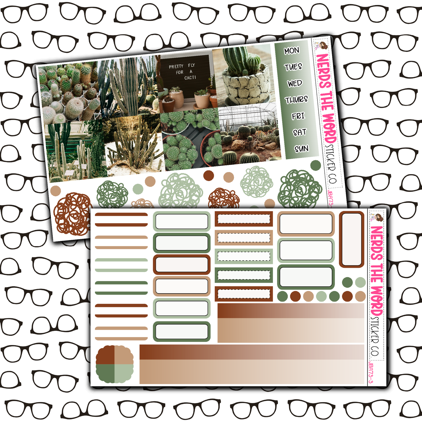 Cacti Just Boxes with Kit Option