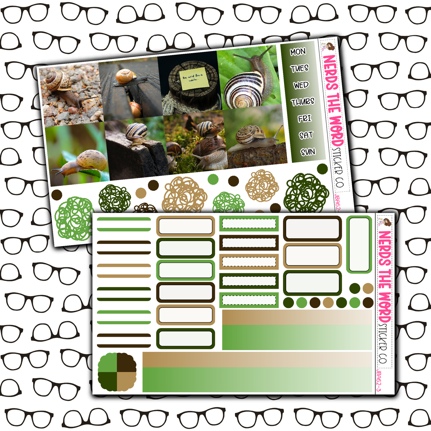 Snails Just Boxes with Kit Option