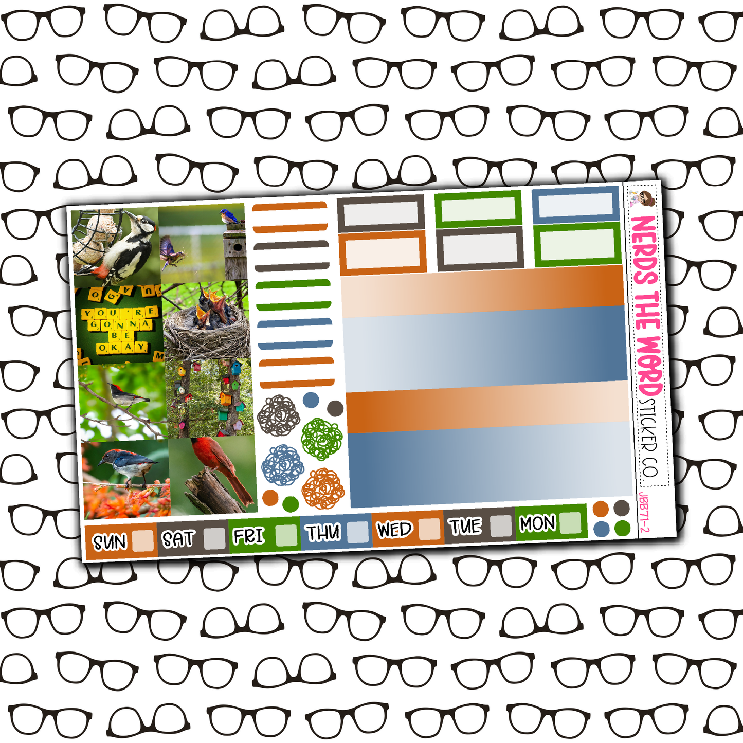 Bird Watching Just Boxes with Kit Option