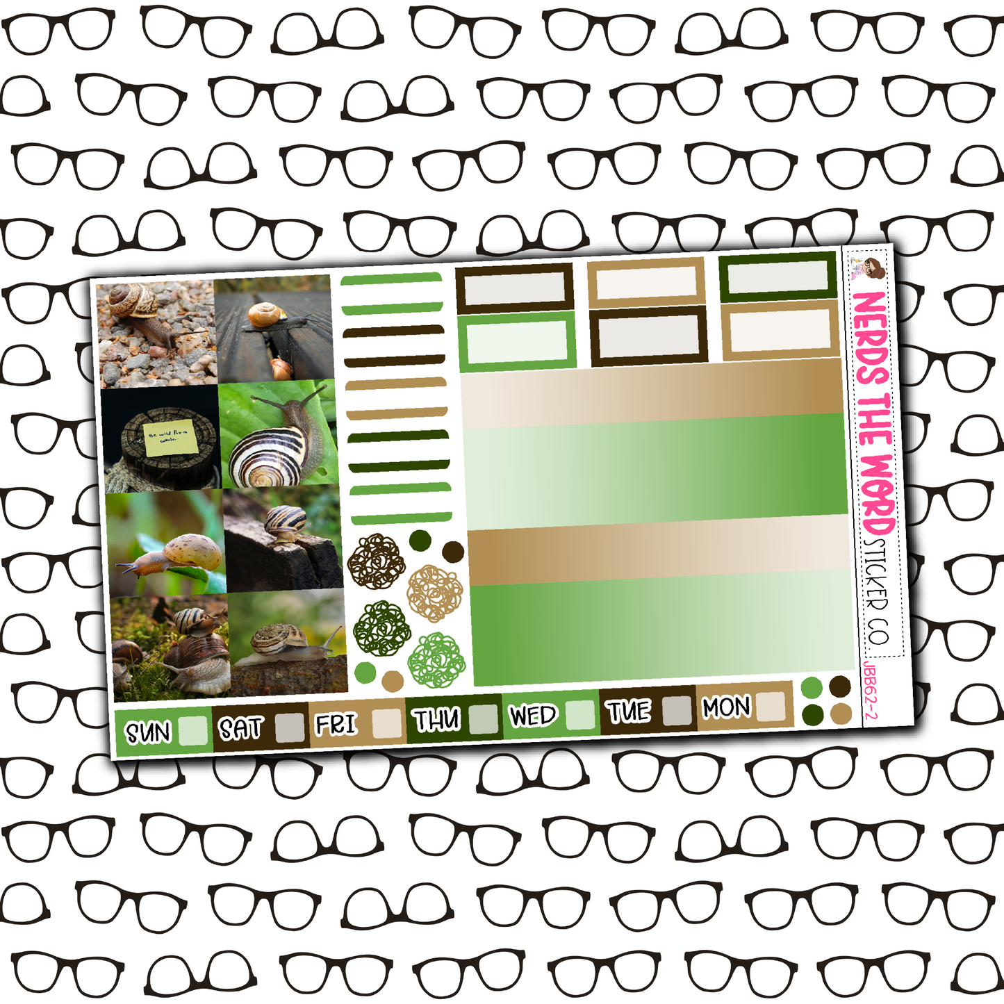 Snails Just Boxes with Kit Option