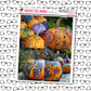 Painted Pumpkins Just Box Sticker Sheet