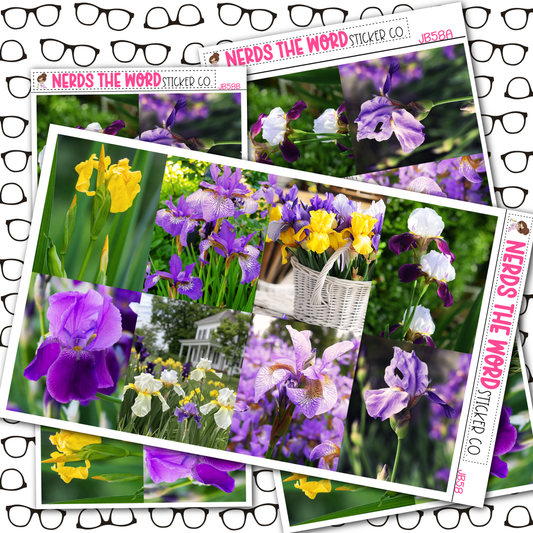 Iris Planner Stickers Just Boxes