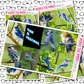 Blue Jay Planner Stickers Just Boxes