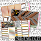 PRINTABLE - Storm Monthly, Weekly and or Journaling Sticker Kit