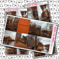 Autumn Just Boxes with Kit Option