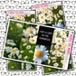 Daisy Just Boxes with Kit Option