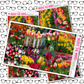 Tulips Just Boxes with Kit Option