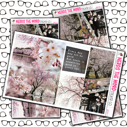 Cherry Blossom Just Boxes with Kit Option