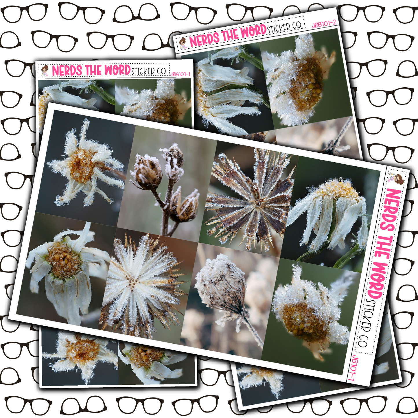 Frozen Just Boxes with Kit Option