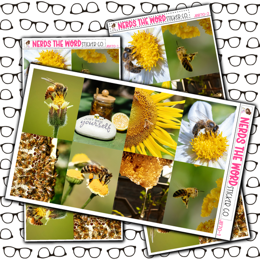 Bee Yourself Just Boxes with Kit Option