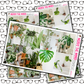 Plants Just Boxes with Kit Option