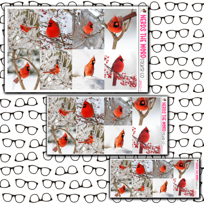 Cardinal Just Boxes with Kit Option