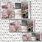 Cherry Blossom Just Boxes with Kit Option