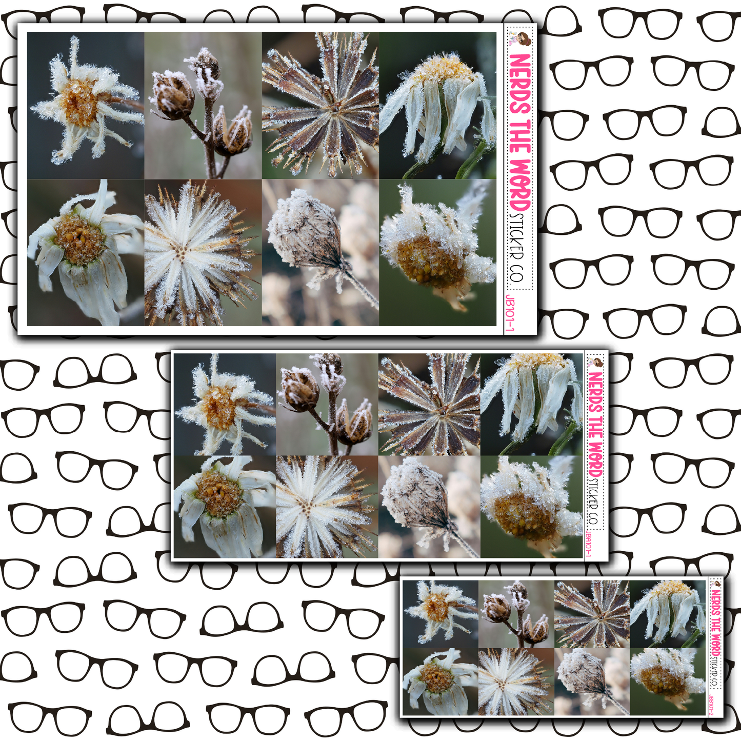 Frozen Just Boxes with Kit Option