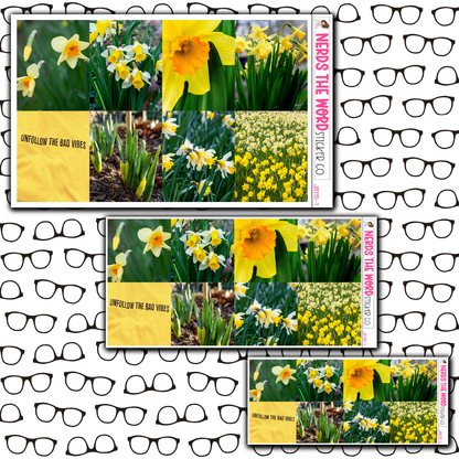 Daffodil Just Boxes with Kit Option