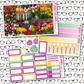Tulips Just Boxes with Kit Option
