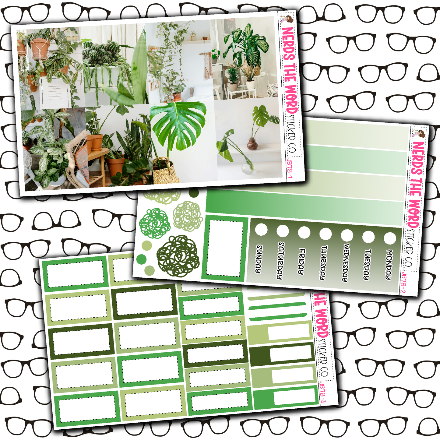Plants Just Boxes with Kit Option