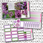Lilac Just Boxes with Kit Option