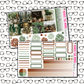 Cacti Just Boxes with Kit Option