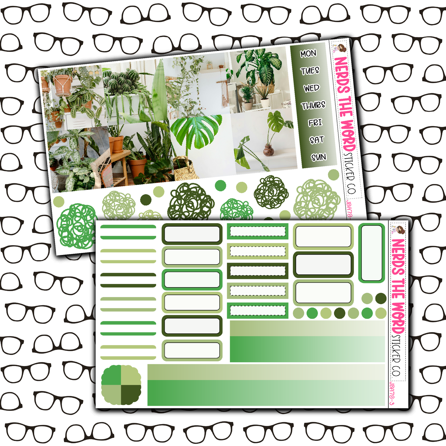 Plants Just Boxes with Kit Option