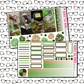 Snails Just Boxes with Kit Option