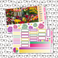Tulips Just Boxes with Kit Option