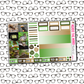 Snails Just Boxes with Kit Option