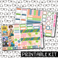 PRINTABLE - Spring Cleaning Monthly, Weekly and or Journaling Sticker Kit