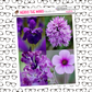 Purple Flowers Mini Just Box Sticker Sheet