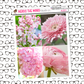 Pink Flowers Mini Just Box Sticker Sheet